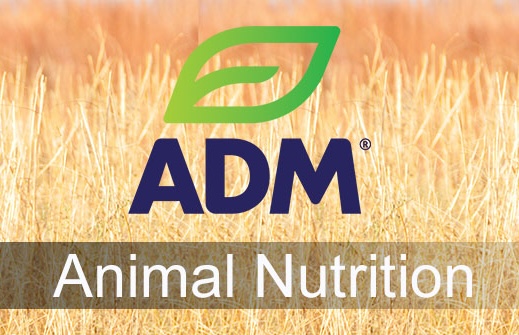 ADM Animal Nutrition logo placeholder