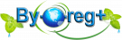 ByoReg logo placeholder